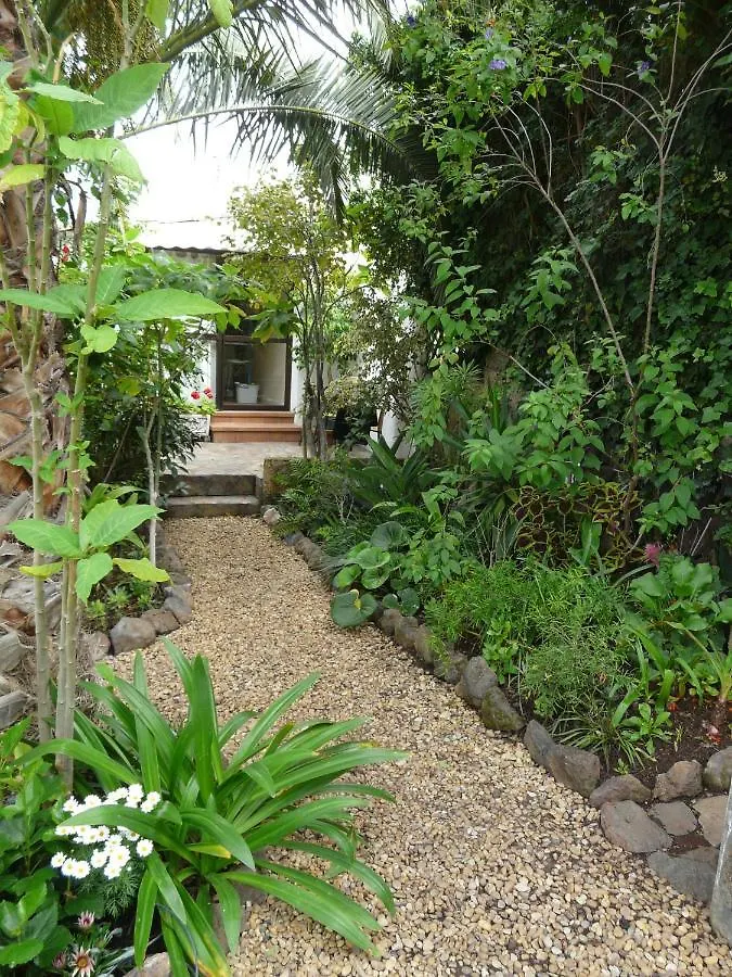 Casa Flora Loft Studio Sauzal